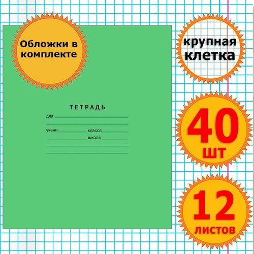 Тетрадь школьная для учебы в крупную клетку 12 листов с обложкой 60 мкр Комплект 40 штук Классика, крупная клетка, Зеленая