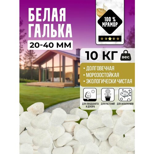 Белая мраморная галька фракция 20-40 мм 5 килограмм камни декоративные для аквариумов террариумов сада и интерьера галька галтованная 1700₽