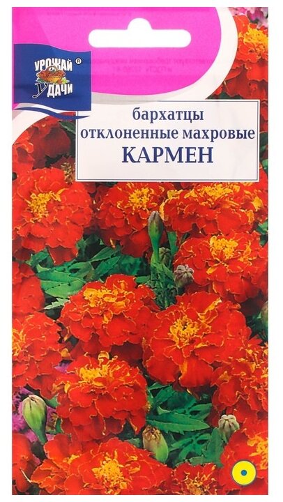 Семена Урожай удачи Бархатцы отклоненные Кармен 03 г