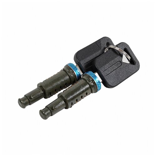 Личинка замка двери Volvo (2 личинки, 2 ключа)