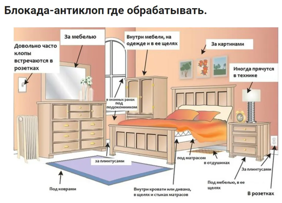 Средство от постельных клопов Блокада - антиклоп, средство от клопов / клопы / клопы средство 1 литр - фотография № 17