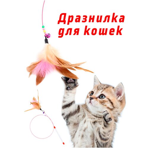 Игрушка для кошек / Дразнилка для котов / Игрушки для животных.