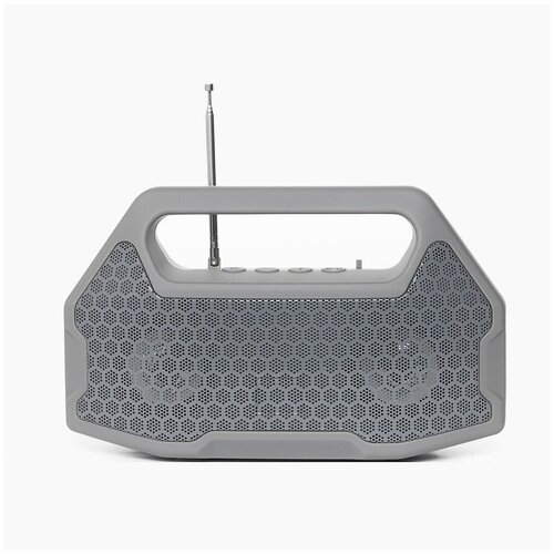 Портативная колонка 320 Серый 147900₽