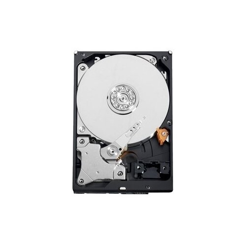 Жесткий диск Western Digital 320 ГБ WD AV-GP 320 GB (WD3200AVVS)