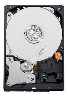 Жесткий диск Western Digital 320 ГБ WD AV-GP 320 GB (WD3200AVVS)