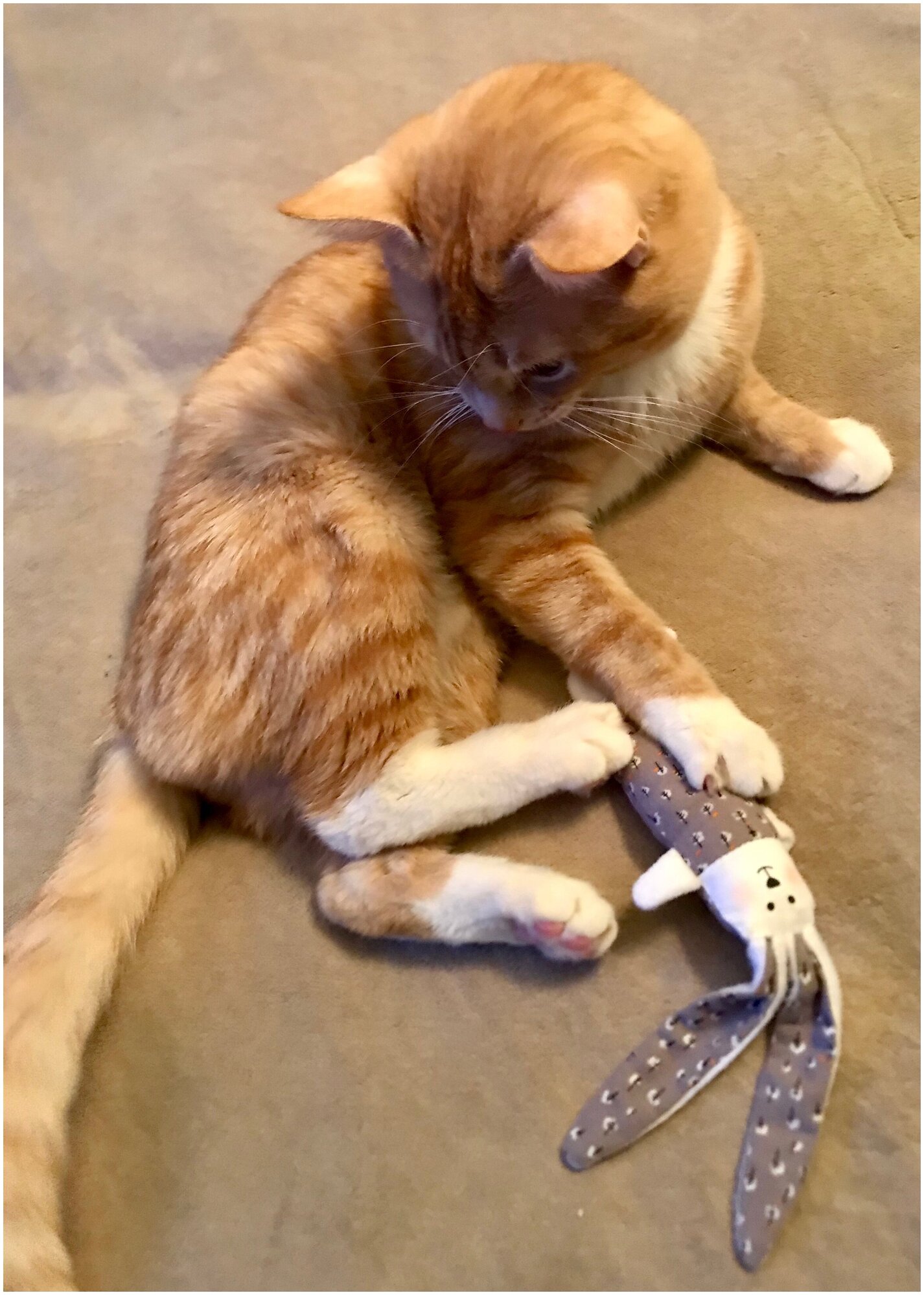 Игрушка для кошек Антейка Зайка длинные уши "Беззаботность" с мятой - фотография № 8