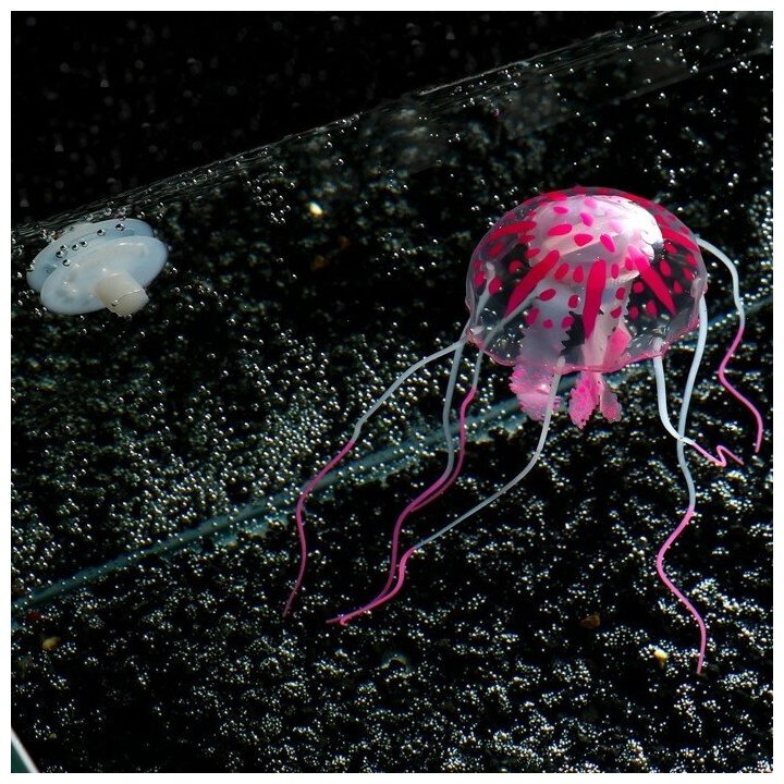 Декор для аквариума"Медуза" силиконовая, с неоновым эффектом, 5 х 5 х 15 см, розовая 7108867 . - фотография № 3