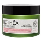 Bothea Retail Line Indian Amla Extract Mask Маска для поврежденных волос - изображение