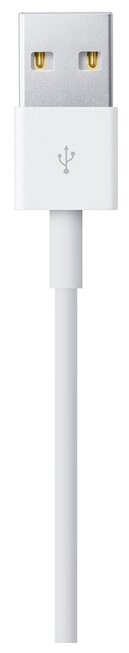Кабель Apple USB - Lightning (ME291ZM/A) 0.5 м белый фото 4
