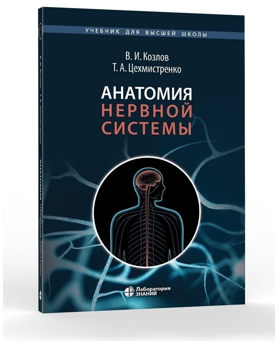 Анатомия нервной системы. Учебное пособие для студентов - фото №6