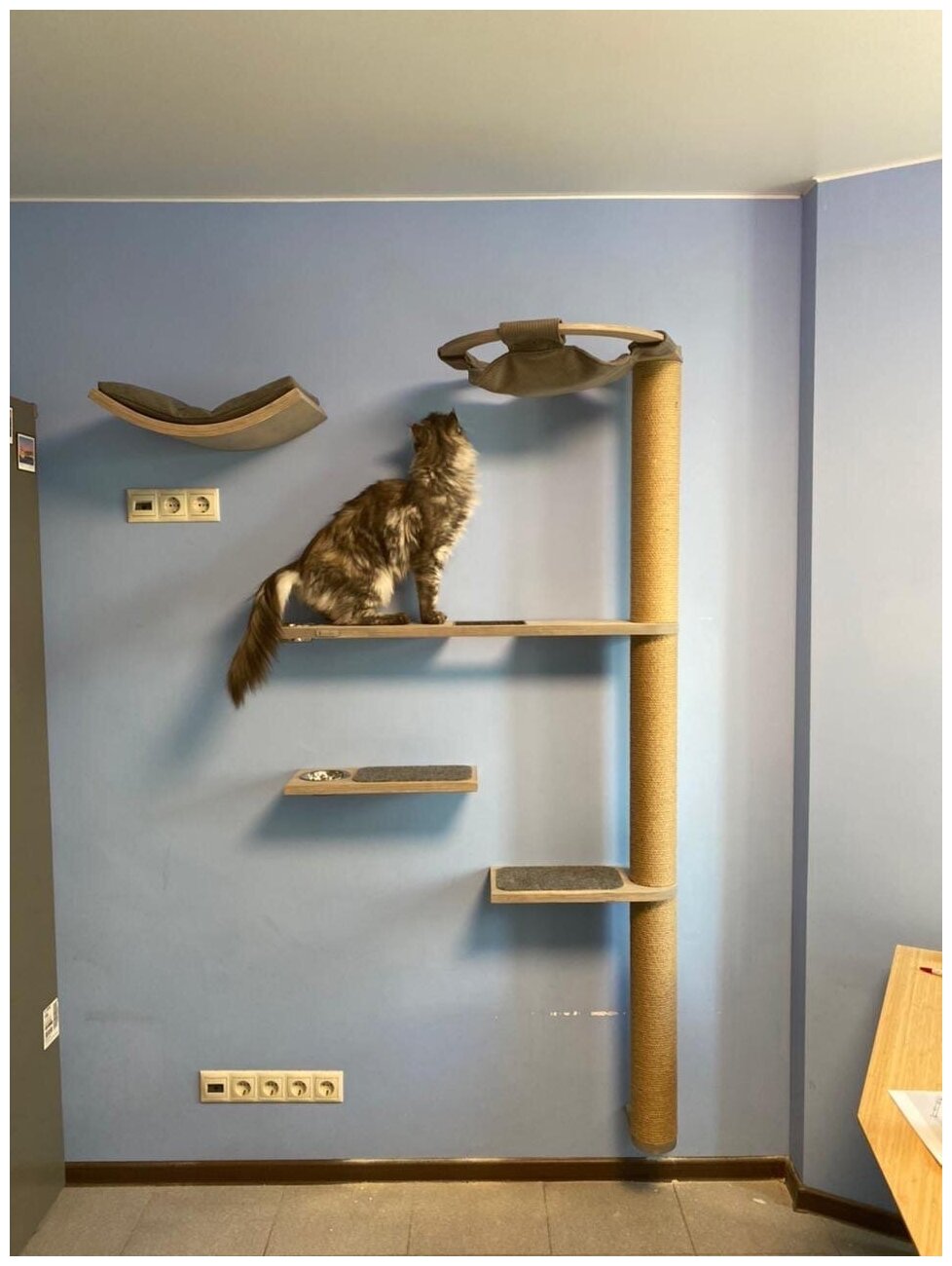 Когтеточка столбик для кошки «Монте-Сан-Сальваторе», настенная, с "парящим" эффектом, для крупных кошек - фотография № 7