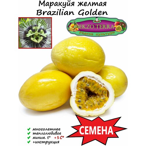 Семена "Маракуйя желтая" (сорт: Brazilian Golden) 10 шт.