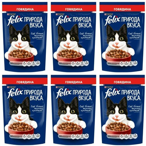 Felix Влажный корм для взрослых кошек Природа вкуса, Говядина, 75 г, 6 шт felix влажный корм для взрослых кошек природа вкуса лосось 75 г 6 шт