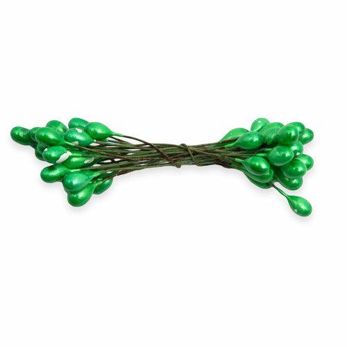 Тычинки для искусственных цветов Astra&Craft (AR561) 0,5*6 см, 10 гр (12) зеленый