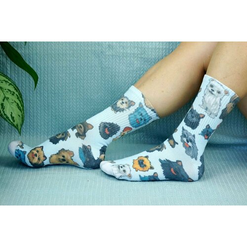 фото Носки , размер 36/41, серый, белый, оранжевый хлопковые cotton print