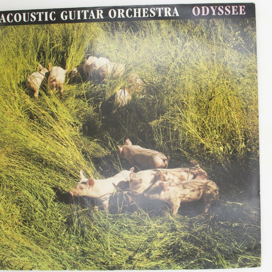 Виниловая пластинка Acoustic Guitar Orchestra - Odyssee