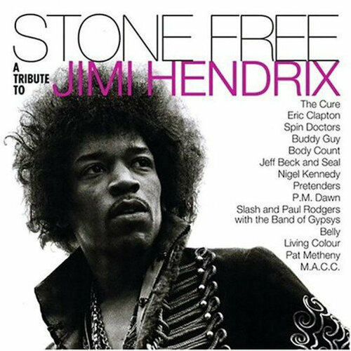 various artists – stone free a tribute to jimi hendrix coloured vinyl 2 lp Альтернатива WM Various Artists - Stone Free (A Tribute To Jimi Hendrix) (Rocktober 2020 / Limited Clear & Black Mixed Vinyl/Gatefold)