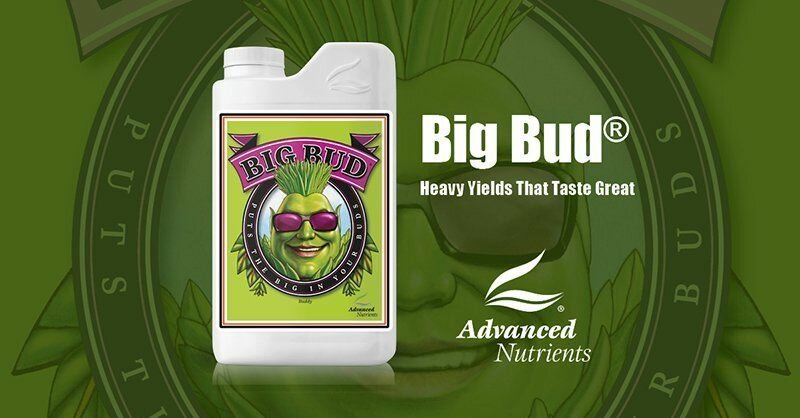 Удобрение стимулирующее цветение Advanced Nutrients Big Bud Liquid 500 мл.