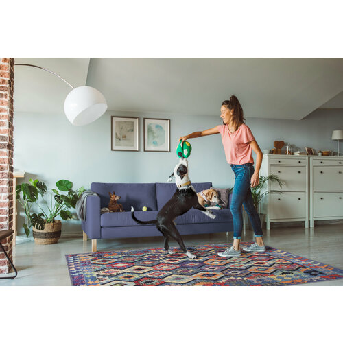 фото Ковер diva home "турецкий" , безворсовый, прямоугольный, полиэстер, хлопок, 2х2.9м divahome