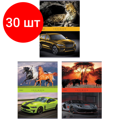 Комплект 30 шт, Тетрадь А4 80 л. HATBER скоба, клетка, глянцевая ламинация, Luxury style (3 вида в спайке), 80Т4лВ1