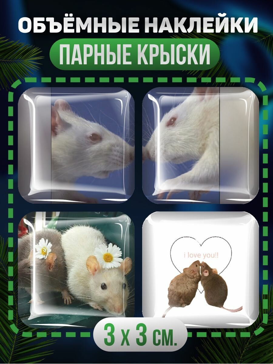 Парные 3D стикеры Крыски