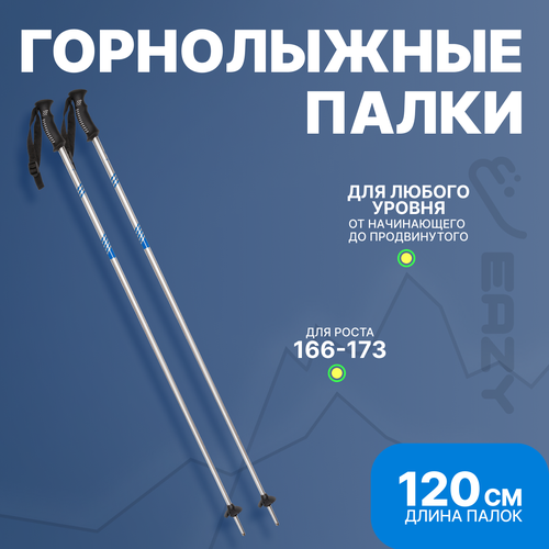 Лыжные горнолыжные палки Eazyrent 120 см / Рост 166-173 см