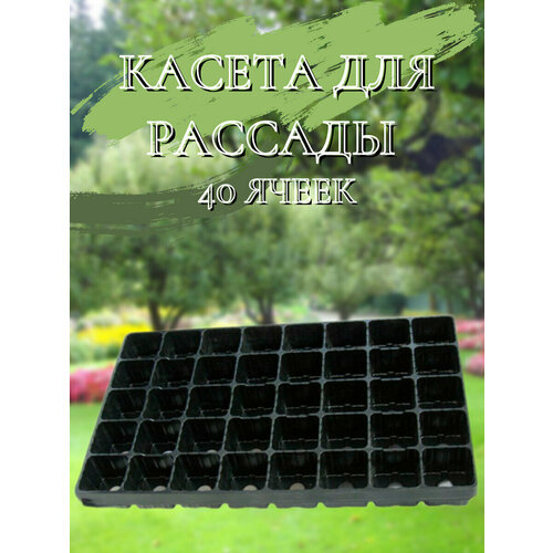 Кассета для рассады , 40 ячеек, пластик, черная