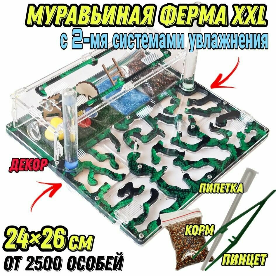 Большая муравьиная ферма "Мята" XXL lux 26*24см с 2-мя системами увлажнения