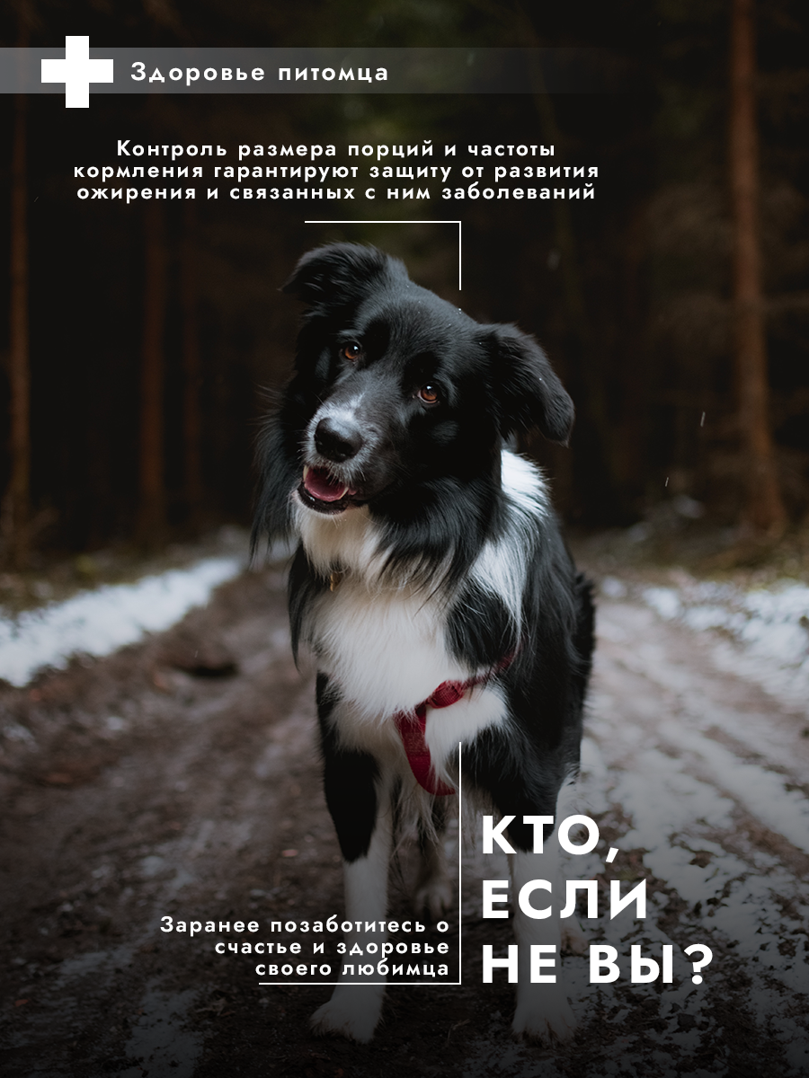 Автоматическая кормушка Pets&mom, для грызунов, кошек, собак, кроликов, хорьков, 3,5 л — фото 1
