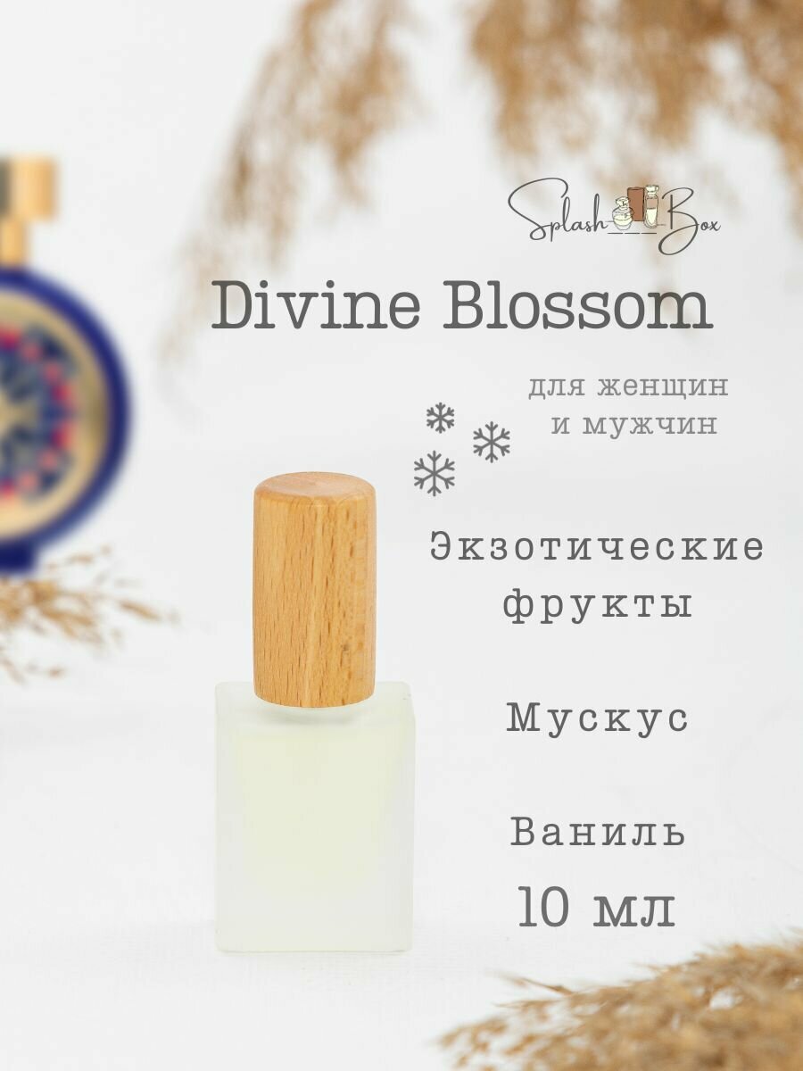 Divine Blossom духи стойкие