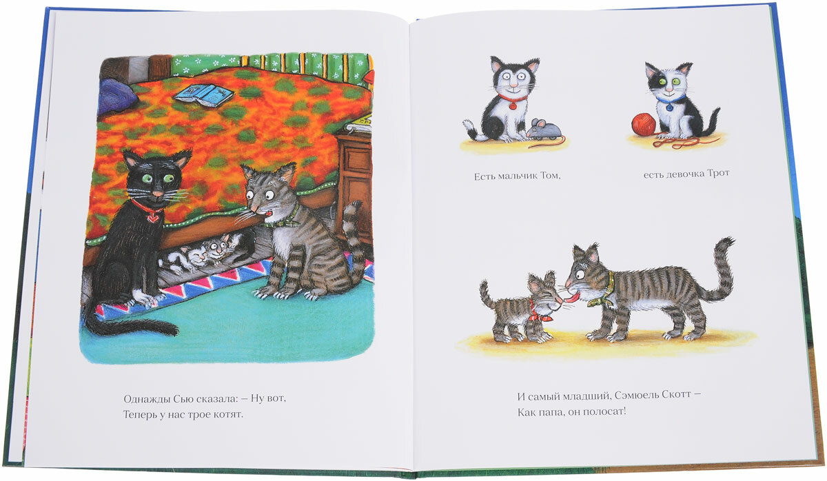 Книга Тимоти Скотт: стихи (Машинки творения) - фото №13