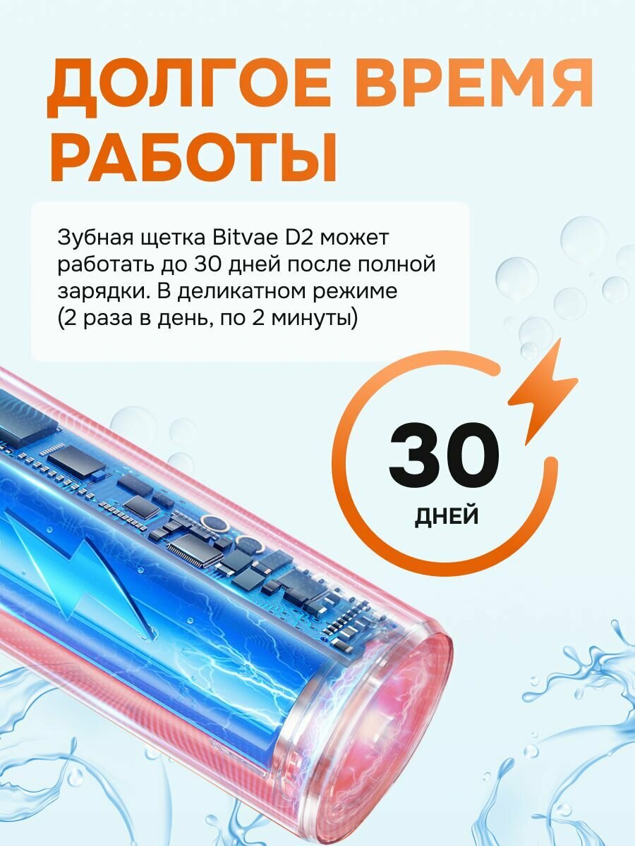 Электрическая зубная щетка Bitvae D2 Daily Toothbrush + Case (D2 + Case)  GLOBAL Black