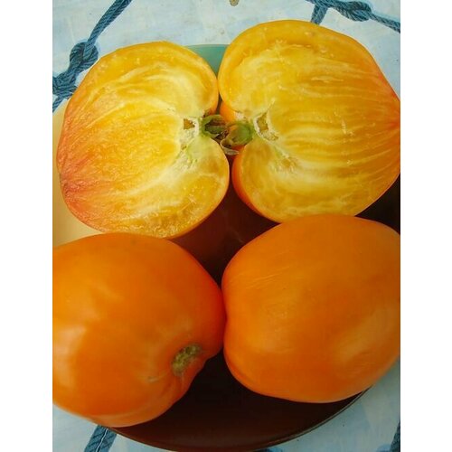 Коллекционные семена томата Оранжевый Император хворост медовый с кунжутом 200 г