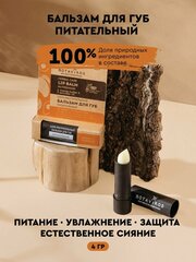 Бальзам для губ Питательный, 100% растительный, Апельсин + корица, 4г