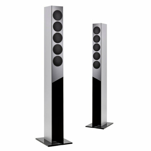 Напольная акустика Revox Elegance G120 silverblack 29000000₽