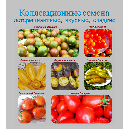 набор семян томатов Набор коллекционных семян детерминантных томатов