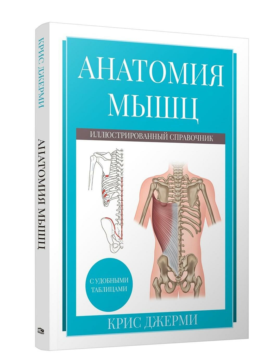 Анатомия мышц: иллюстрированный справочник. Джерми К. Попурри