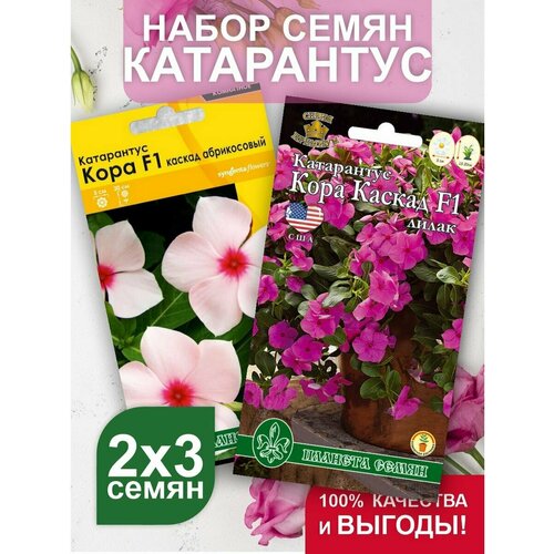 Катарантус ампельный Кора Каскад F1, набор
