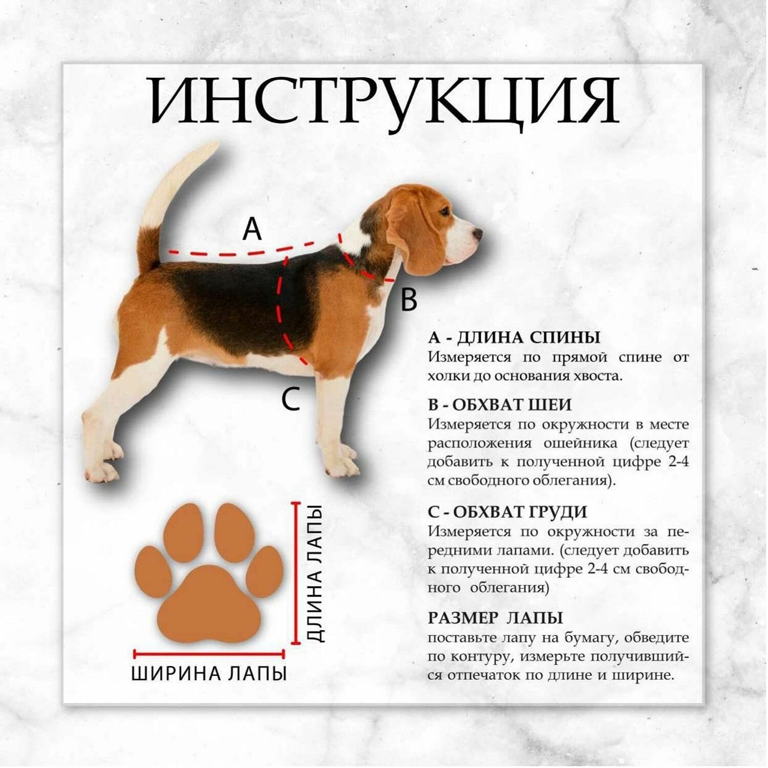 Куртка для собак Sima-Land двухсторонняя XS бирюзовая/салатовая - фотография № 5