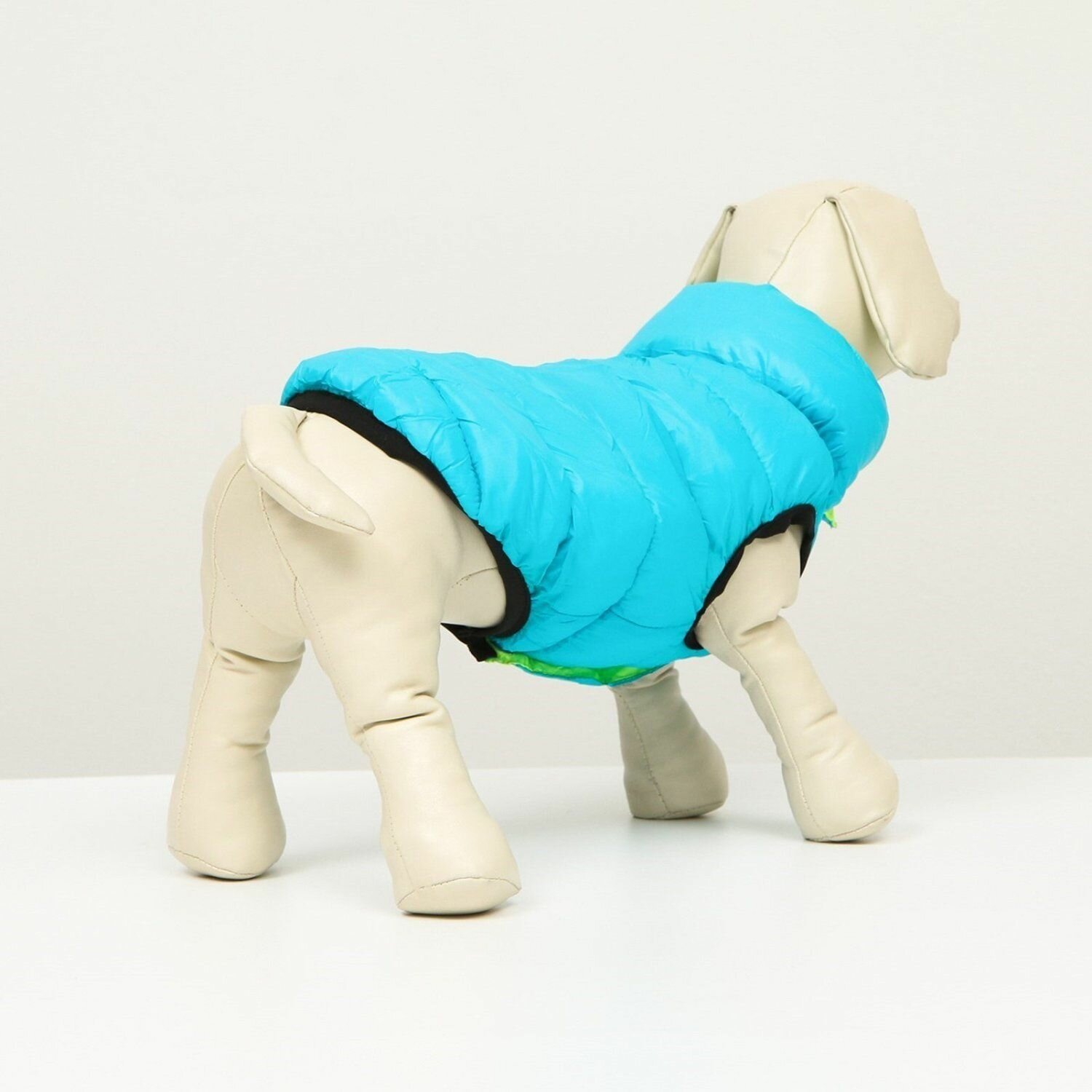 Куртка для собак Sima-Land двухсторонняя XS бирюзовая/салатовая - фотография № 4