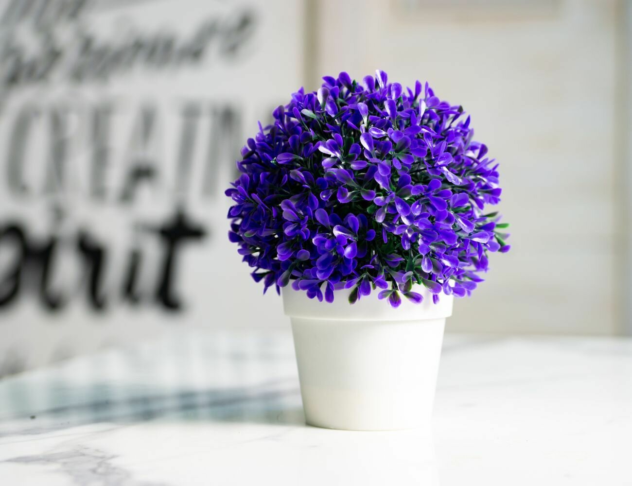 фото Искусственное растение в горшке олерацеа виола, 20 см, Koopman International 317002500-4