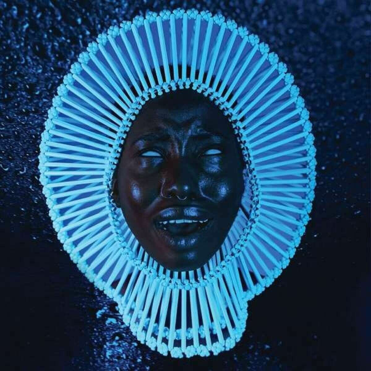 Виниловая пластинка Childish Gambino - Awaken, My Love! (1 LP)