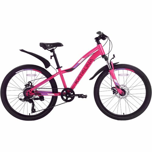 Велосипед TECH TEAM KATALINA 24'х13' розовый 2023 NN010421 NN010421