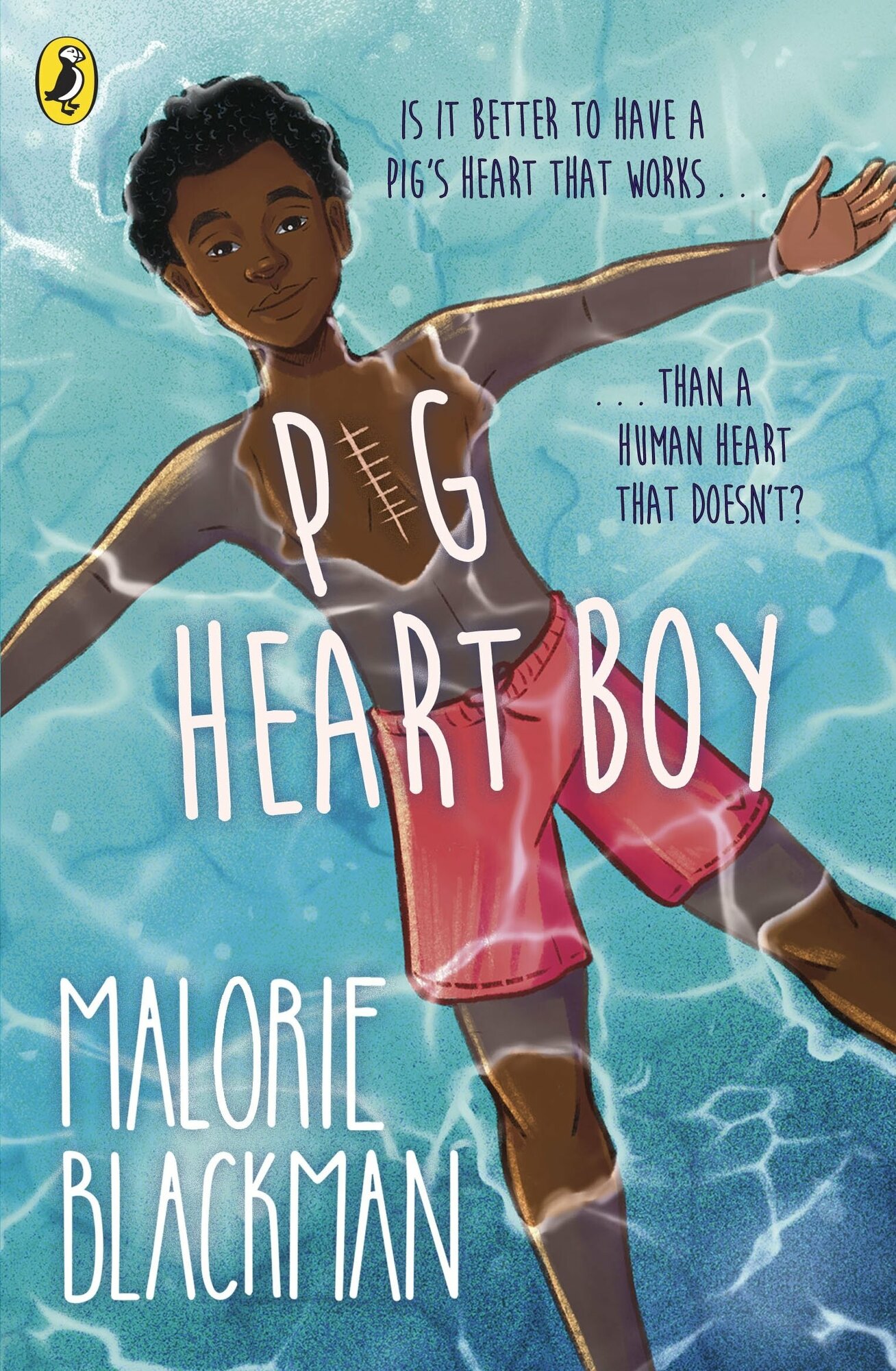 Pig-Heart Boy / Книга на Английском - фото №1