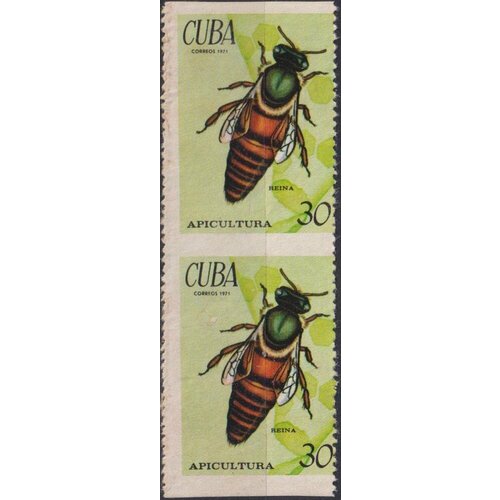 Почтовые марки Куба 1971г. Пчеловодство - без перфорации, редкость Пчелы NG почтовые марки куба 1971г пчеловодство насекомые пчелы ng