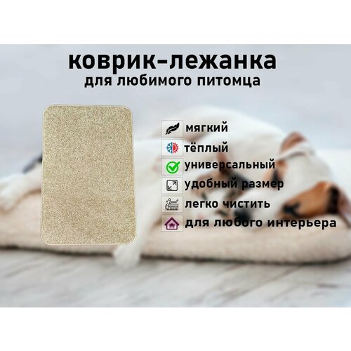 Мягкий, высоковорсовый коврик для животных Новостройка 80*50