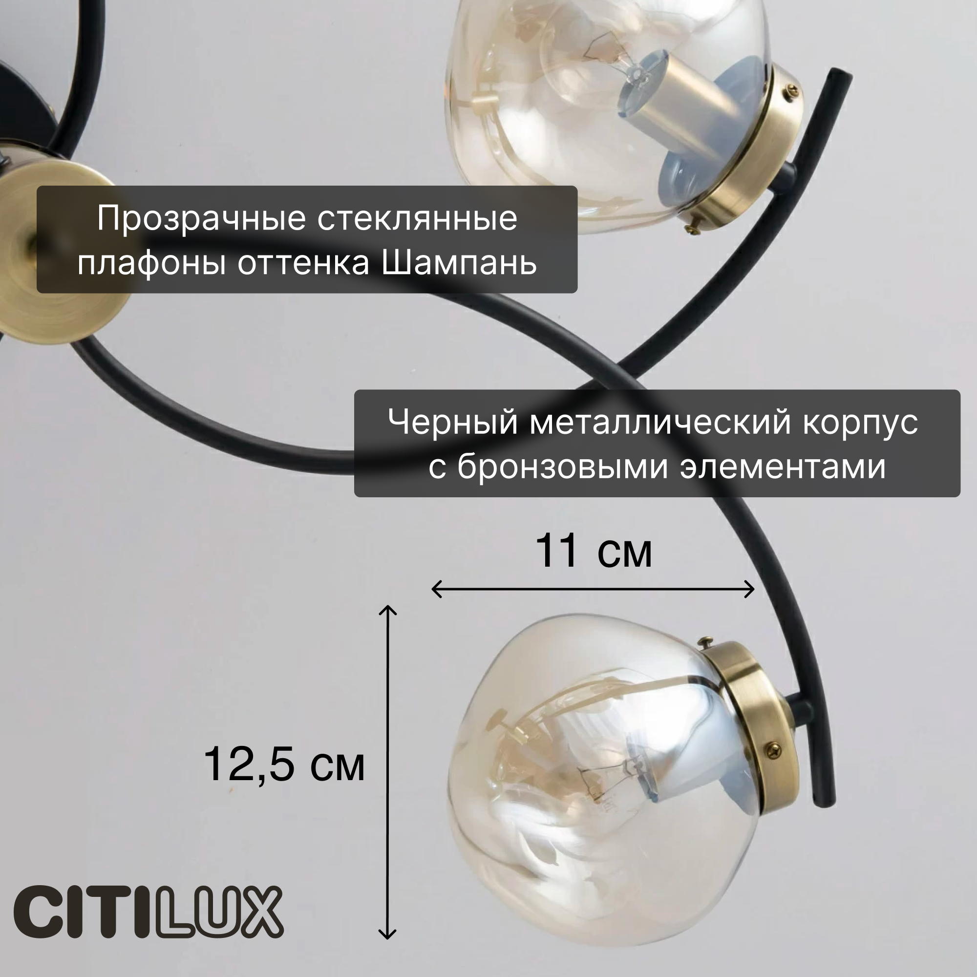 Потолочная люстра Citilux Фабула CL110165 - фото №3