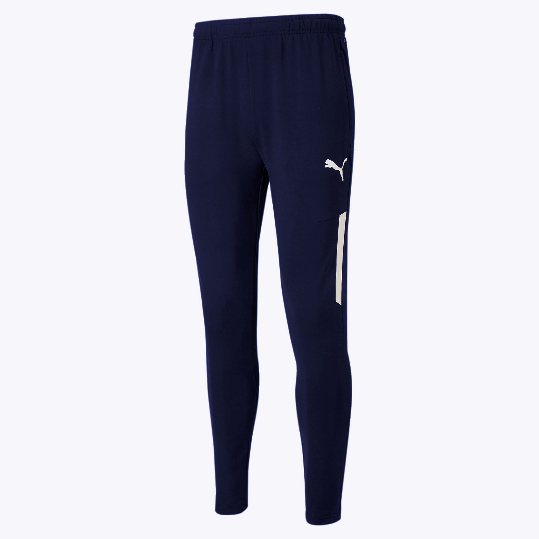 Брюки спортивные PUMA teamLIGA Training Pants Pro Peacoat