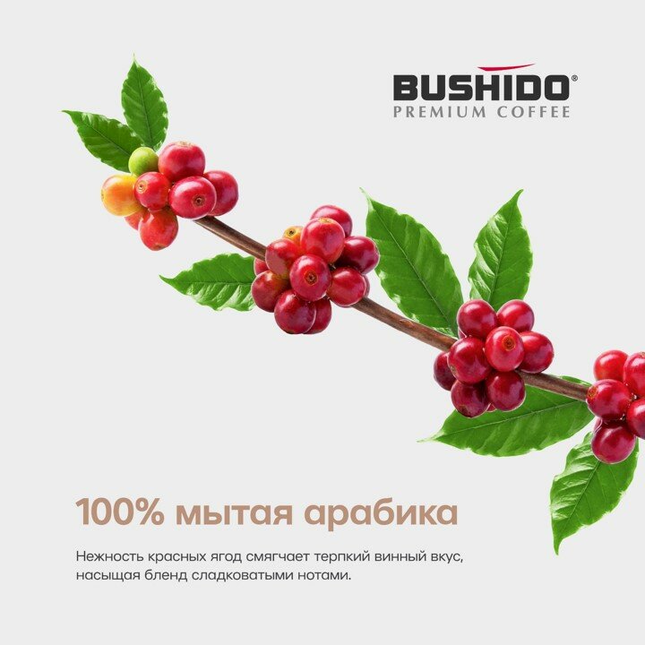 Bushido Original кофе растворимый сублимированный, 2 шт по 75 г