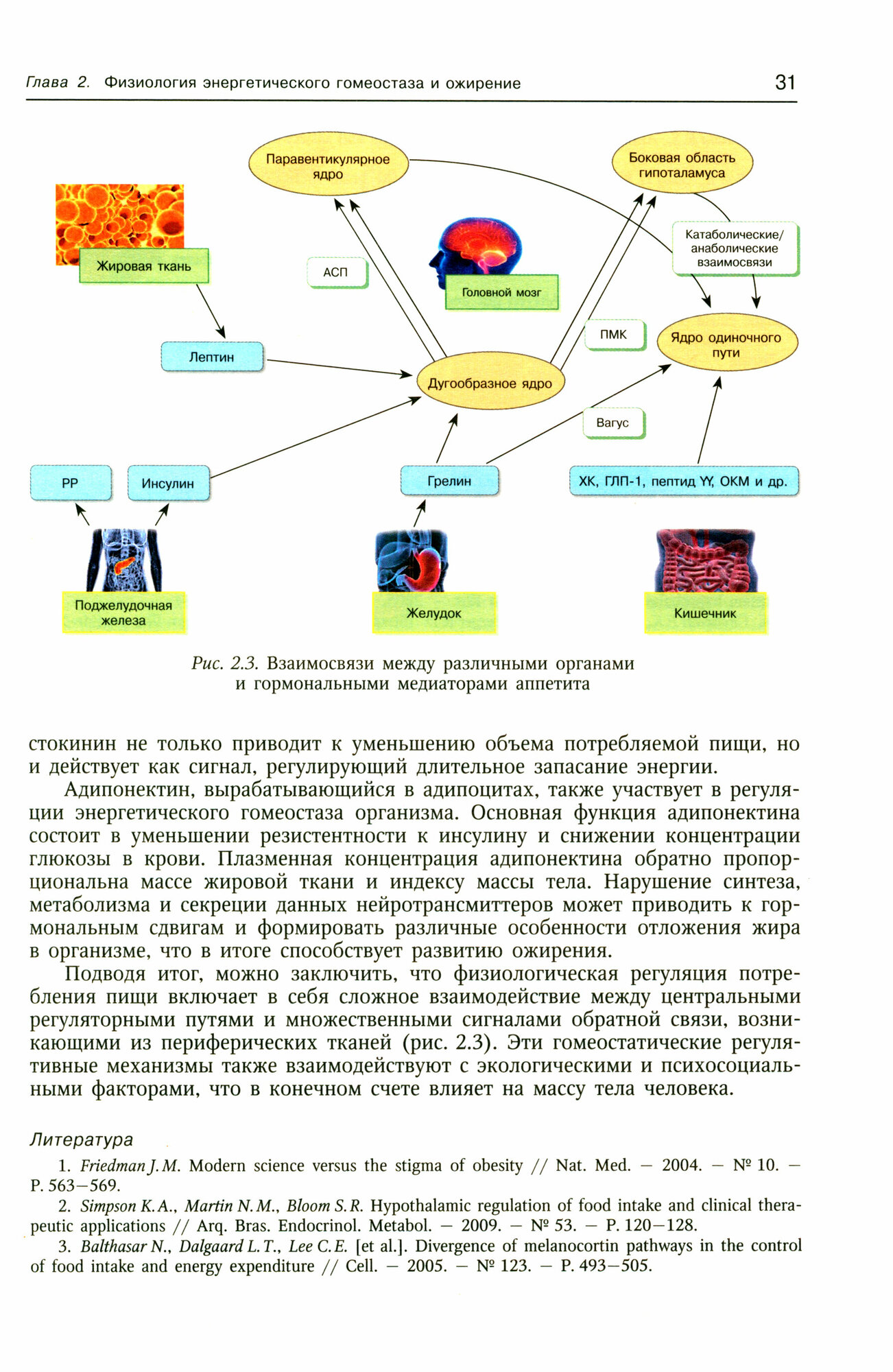 Ожирение и ассоциированные заболевания Консервативное и хирургическое лечение Руководство для врачей - фото №2